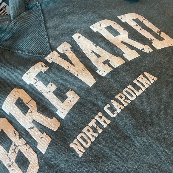 #299 BREVARD NORTH CAROLINA (VINTAGE WEAR) HOODIE - Picture 8 of 16